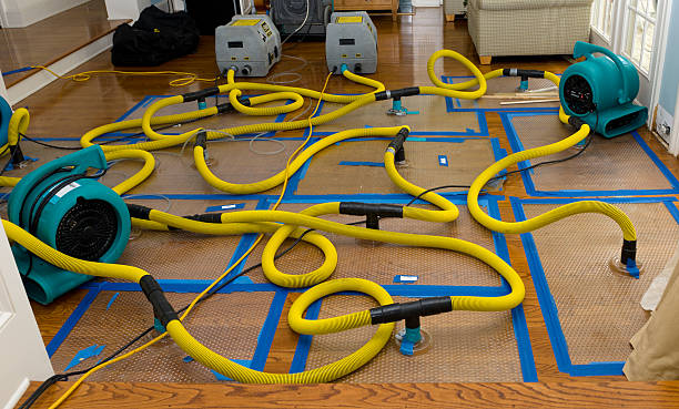 Professional Crawl Space Water Removal technician working in Ashland, IL